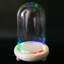 Penitas Cloche Or Water Globe