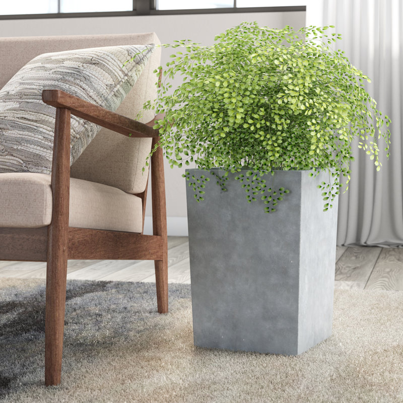 Jardinière rectangulaire en béton avec trous de drainage et pot de ciment moyen l 9 po x H 13 po H, Ciment