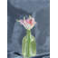 Ensemble de 2 vases en verre vert clair Rosecliff Heights