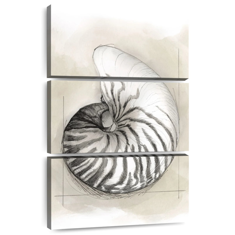 Brampt Shell Schematic I