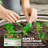 Set Of 2 Raised Garden Bed, Metal Planter Box With Safety Edging, Easy-To-Assemble Stock Tank 2'X2'x1' Silver-791300239-791300234
