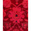 Tapis rose en laine noué à la main Chi 4 pi 2 po x 5 pi 10 po Chi