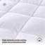 Duvet-398979925