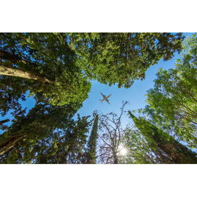 Airplane Flying Above The Forest by Yalcinsonat1 - Wrapped Canvas Print