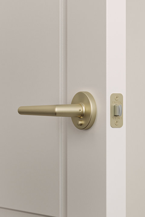 Door Levers