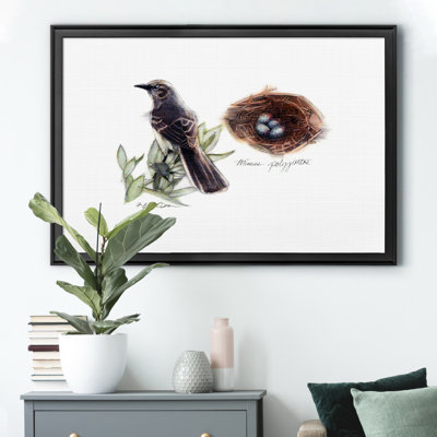 " Bird And Nest Study I "