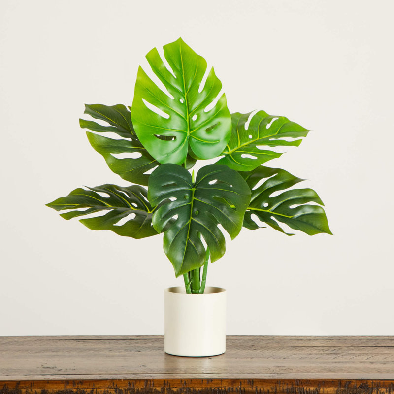20 po Plante artificielle suisse Monstera