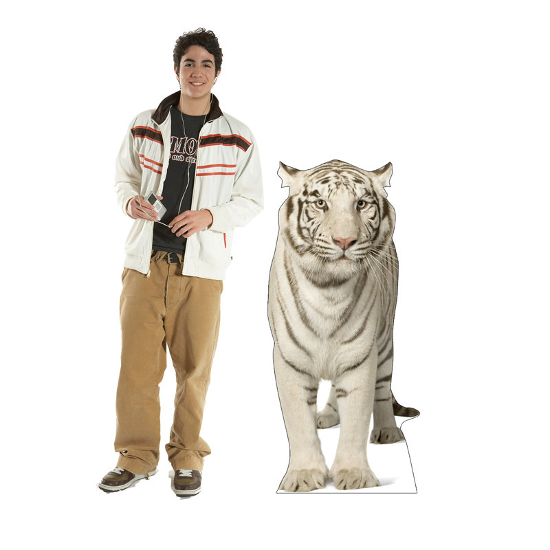 Life-Size White Tiger Cardboard Standup 52" x 24"