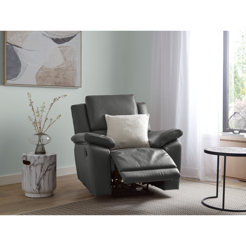 Fredel Standard Recliner