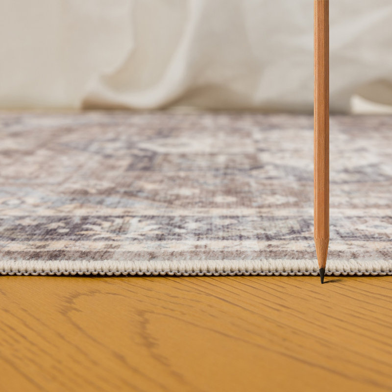 Eaglin C6F88EF46AA34138BE77858D6416897C Brown Accent Rug, 24" x 35"