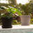 Terra Traditional Plastic Indoor/Outdoor Pot Planter-706139629-706139600
