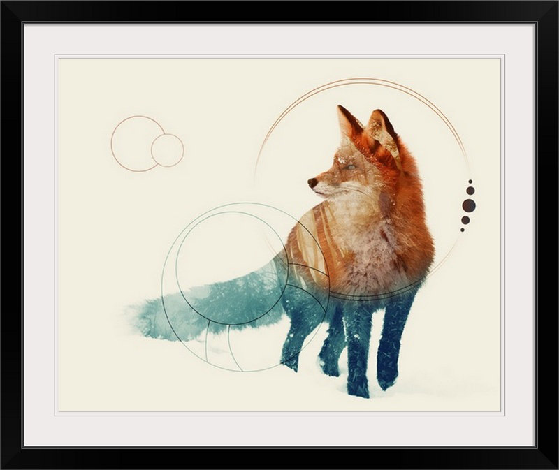 «Double Exposure Wildlife Fox II», impression, Cadre noir, H 20 po x l 23 po x P 1 po