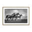Famille de chevaux sauvages-1879856296-1879856299-1886441121