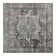 Oriental Indoor Rug