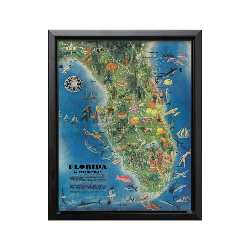 Carte de l'État de la Floride, Cadre noir, Canevas, H 12 po x l 16 po