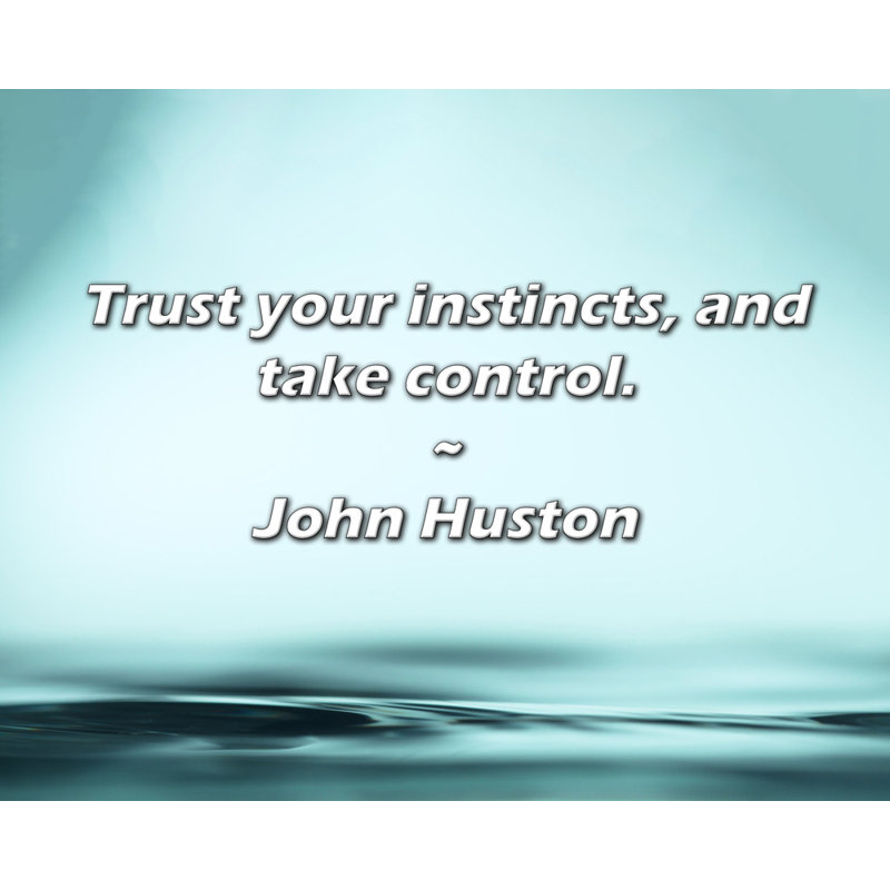 John Huston Quote: Trust your instincts, and take control., 20" H x 24" W
