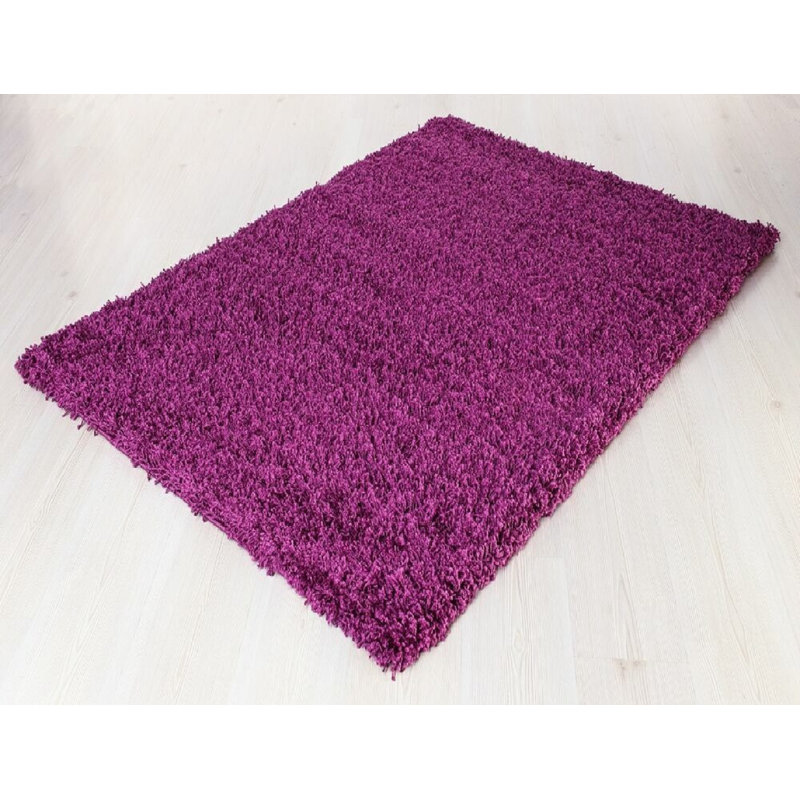 Aanuoluwa Shag 80cm X 150cm Indoor / Outdoor Area Rug, Rectangle 80 x 150 cm