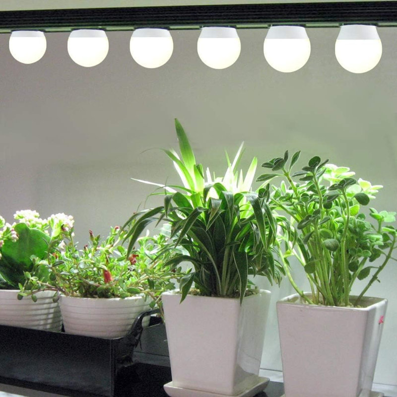 Grow Light Bulb-3, Paquet de 3