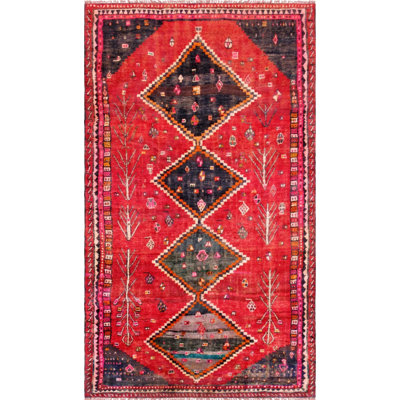 Oriental Area Rug