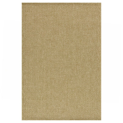 Indoor/Outdoor Area Rug