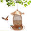Mangeoire à oiseaux en fer forgé SquirrelProof