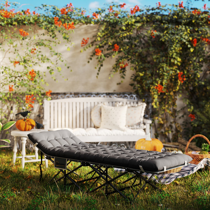 Lit de camping pour adultes avec matelas, lit pliant, Gris foncé