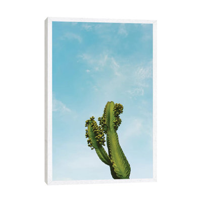 Reach For The Sky II by Bethany Young - Print on Canvas