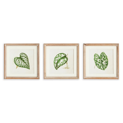 Violeta Leaf Cuttings Petite Prints, Set of 3