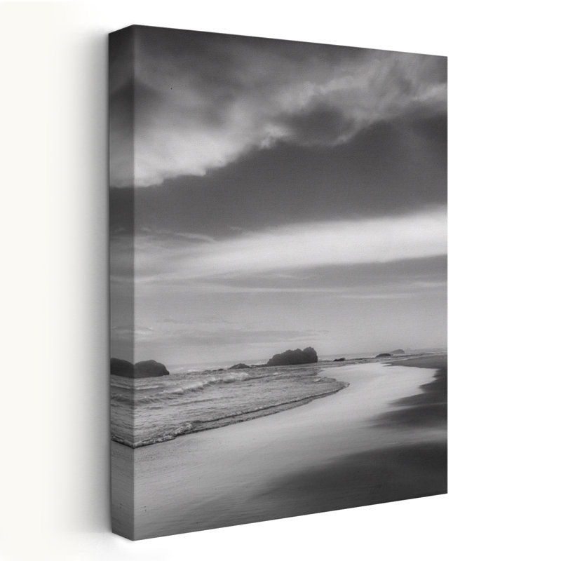 Tranquil Shoreline - coquillages côtiers et photographie et art marin blanc corail, H 60 po x l 40 po