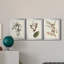 Pl. «160 Carolina Titmouse», ensemble de 3 impressions sur toile encadrées-1895717707-1895717709