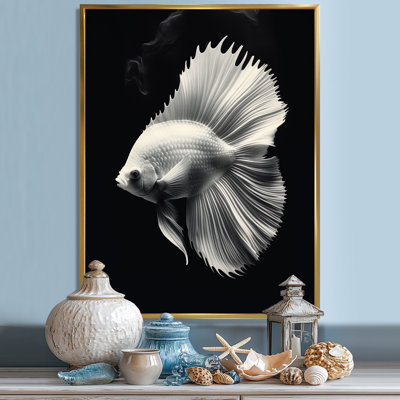 " Golden Glint And Graphite A Butterflyfiish "