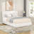 Upholstered Platform Storage Bed-1192630454