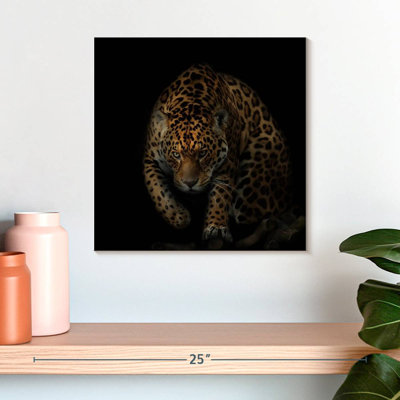 Crowle Prowling Jaguar