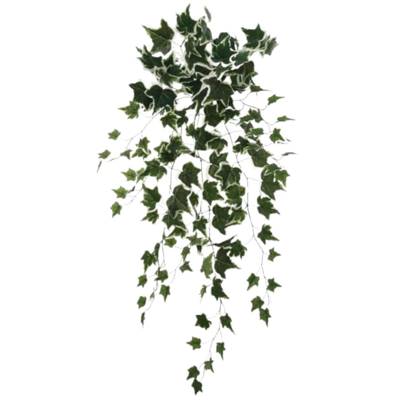 12 pièces de lierre suspendu panaché 36 "- 2025 Spring Collection
