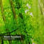 Rideau de douche Forest Sunlight-937952119