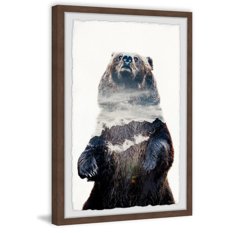 Dark Grizzly - Single Picture Frame Print, 45cm H x 38cm W x 3.81cm D