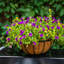 Pot à fleurs suspendu en métal thermolaqué Tingsley-41746180-41746181