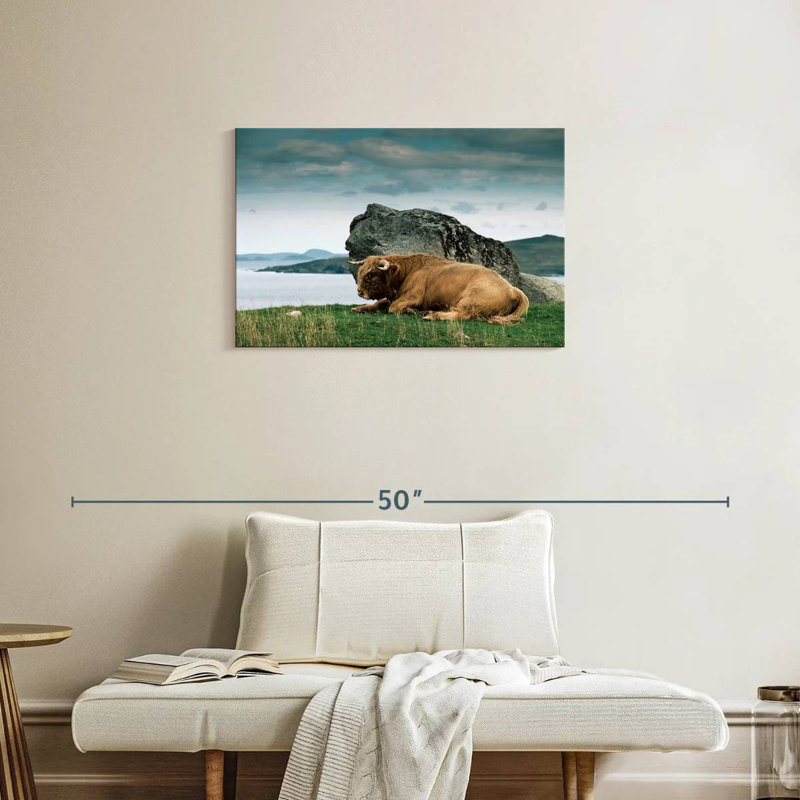 Brampt Highlander Bull, 20" H x 30" W