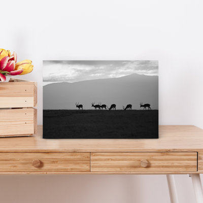 Art africain, empalas africain, silhouette, paysage contemporain contemporain, art mural