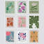 «Multicolor Colorful Vibrant Forest Wildflowers Nature Wilderness Calm Boho», impression sur papier 9 pièces-92573769-92573770