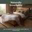 Sleepeezee Natural Feather and Down 10.5 Tog Duvet-124567149