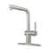 CASAINC Single-Handle Pull Out Kitchen Single Hole Faucet with Deck Plate