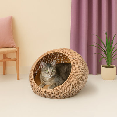 Lit pour animal de compagnie circulaire moderne en faux osier avec coussin lavable à la machine 19,5 po x 18 po Fiora