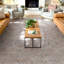 Tapis à chevrons gris Ervin Anya-72950106