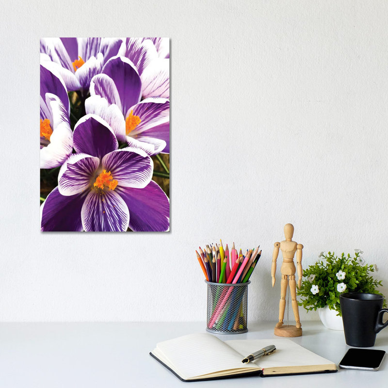Springtime Dance 1 Piece Wrapped Canvas Wall Art, 30.48cm H x 20.32cm W x 1.905cm D