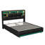 Upholstered Bed with LED Strip Lights-828945444