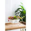 Blanc antique, fer vieilli, pot à fleurs brouette, 11,5 po x 4 po x 7 po, petites plantes artificielles, plantes grasses de comptoir,