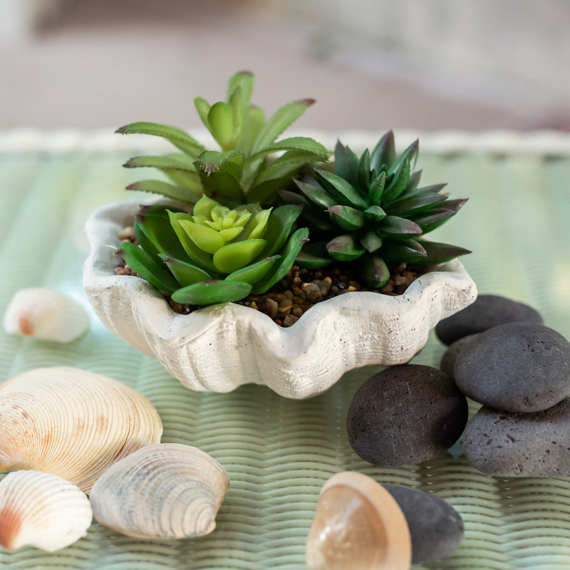 4.5'' Faux Succulent Plant in Cement Planter