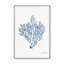 «Nature's Blueprint»-1100423241-1100423240