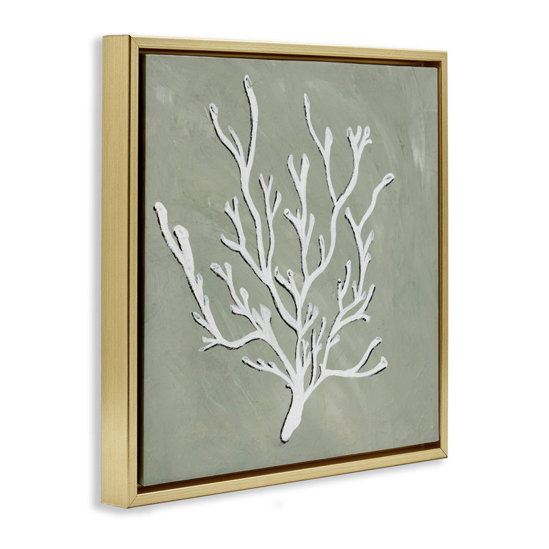 "White Coral Sprig", art mural sur toile flottante par Nola James, Cadre flottant métallique doré, H 18 po x l 18 po